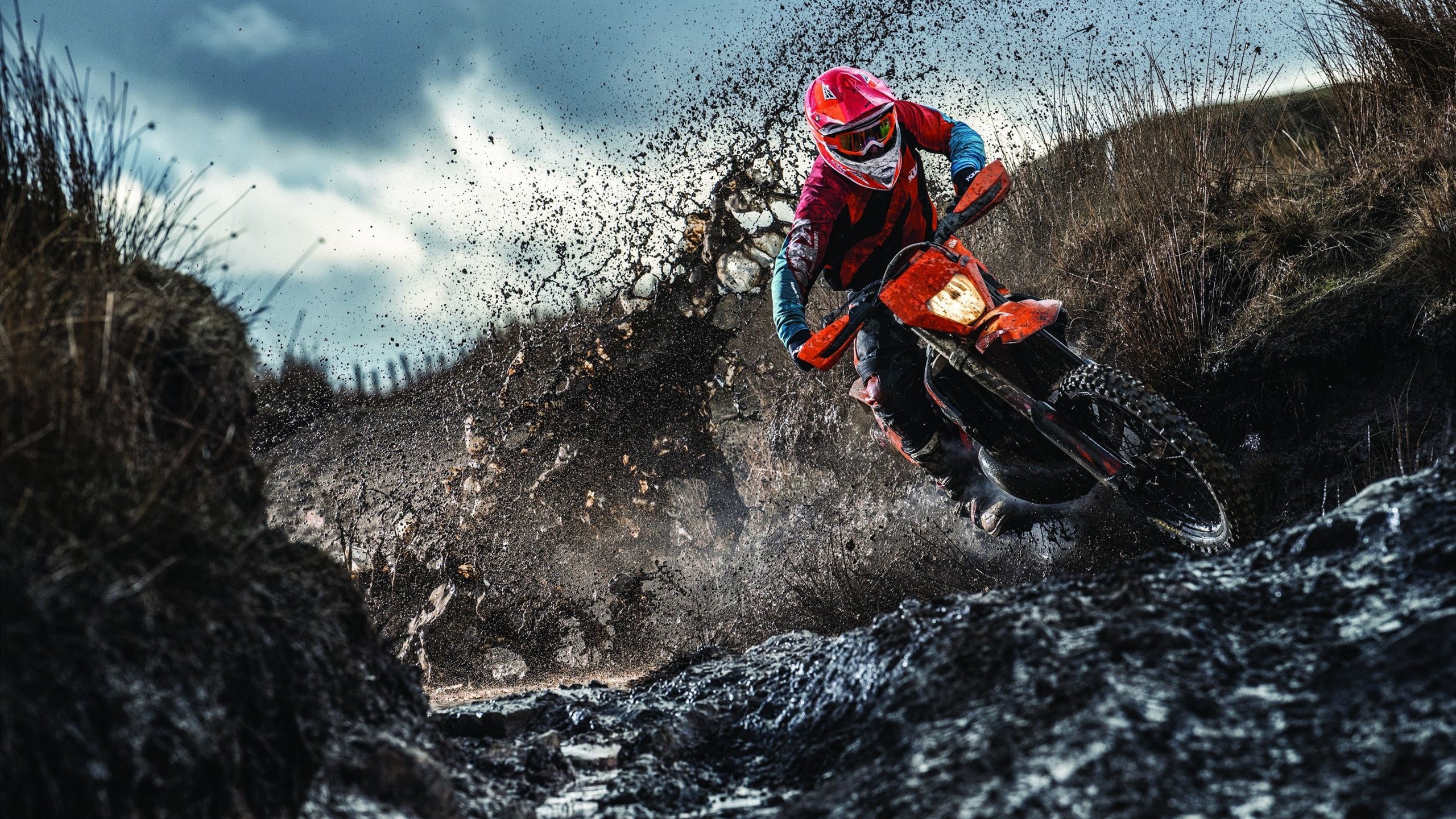 新秀观察:线上淘汰赛中崭露头角的几位枪手,线上挑战赛是什么意思